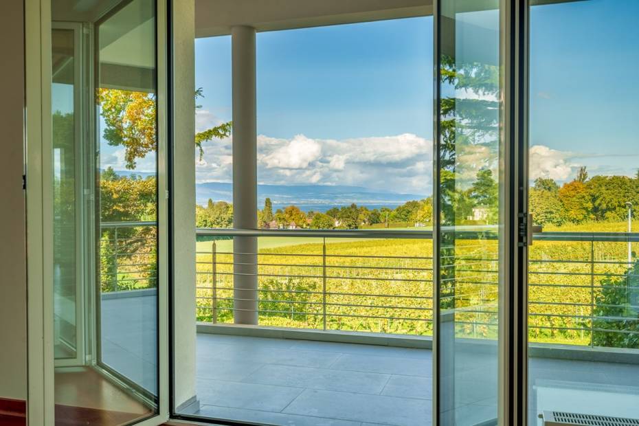 Charmante maison avec vue sur les vignes