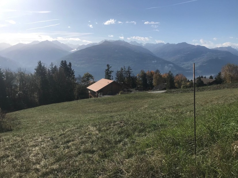 Mayens d’Arbaz Nouveau projet