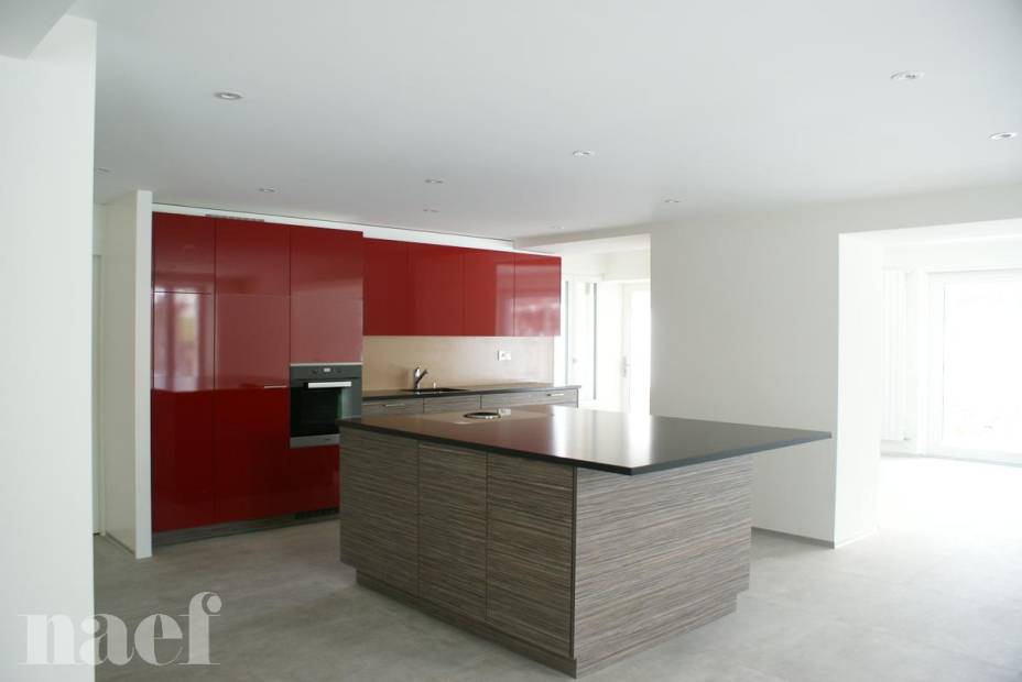 Splendid modern 8-room house with a large garden in Colombier