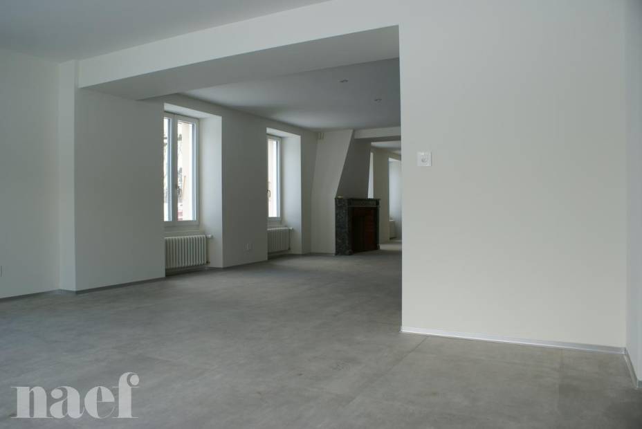 Splendid modern 8-room house with a large garden in Colombier