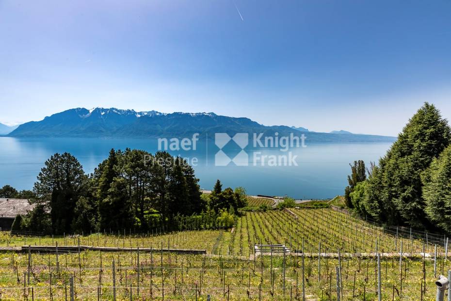 Terrain d’exception avec vue lac panoramique à couper le souffle à vendre à Puidoux