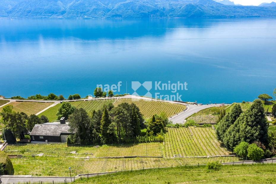Terrain d’exception avec vue lac panoramique à couper le souffle à vendre à Puidoux