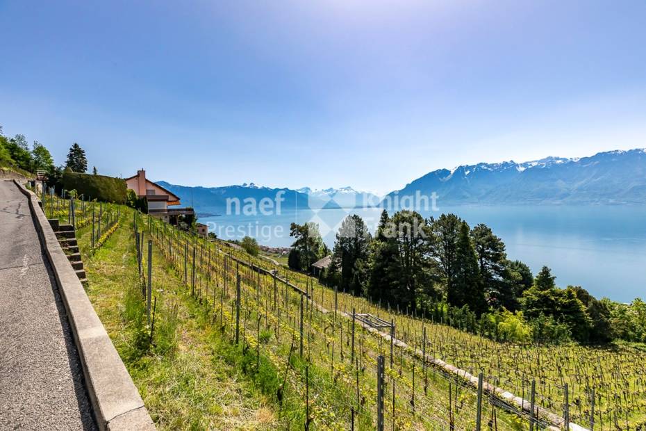 Terrain d’exception avec vue lac panoramique à couper le souffle à vendre à Puidoux
