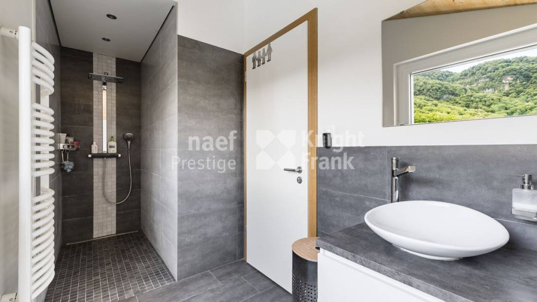 Maison d’architecte de 7.5 pièces avec piscine et jacuzzi dans un cadre verdoyant à vendre à Collombey-Muraz