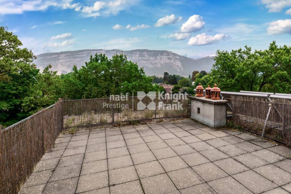 Rare: Renovated Mansion – 3 Apartments or Family Villa