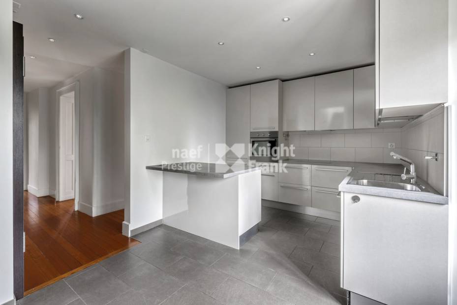 Rare: Renovated Mansion – 3 Apartments or Family Villa