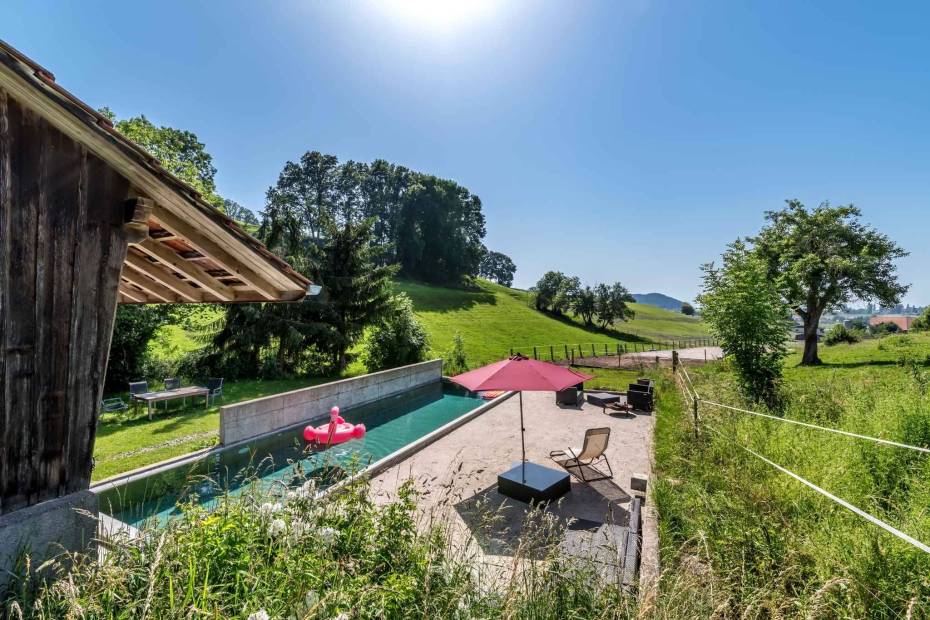 Magnificent renovated riding farm with 2 stables, garden and pool for sale in Bonnefontaine