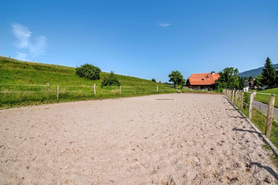 Magnificent renovated riding farm with 2 stables, garden and pool for sale in Bonnefontaine