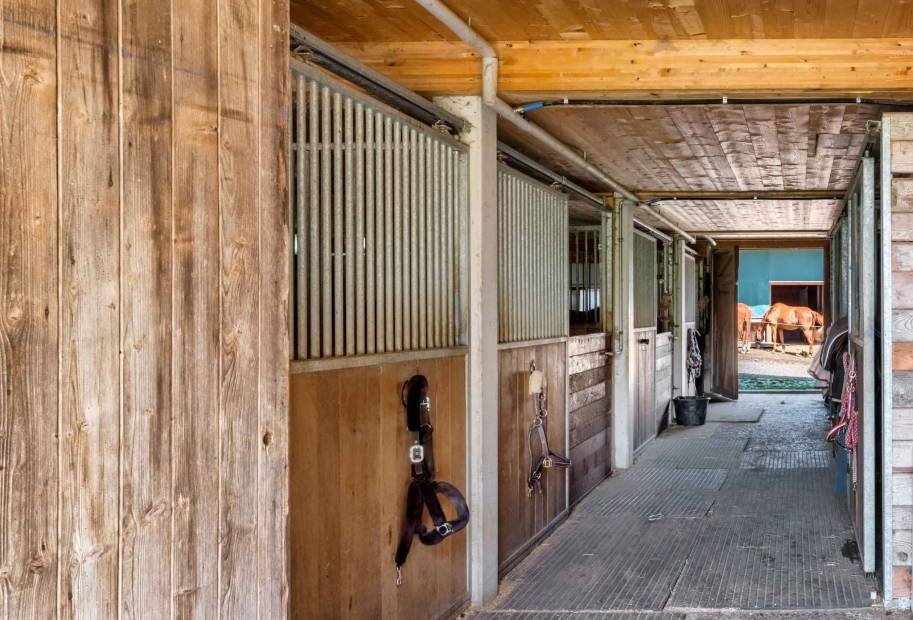 Magnificent renovated riding farm with 2 stables, garden and pool for sale in Bonnefontaine