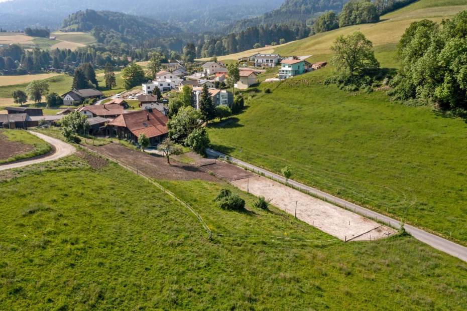 Magnifique ferme équestre rénovée avec 2 écuries, jardin et piscine à vendre à Bonnefontaine