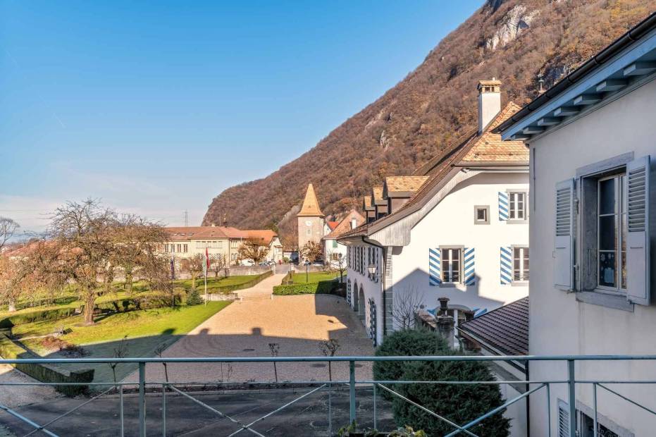 Superb 6.5 room apartment for sale in the Château de Roche in Roche/VD