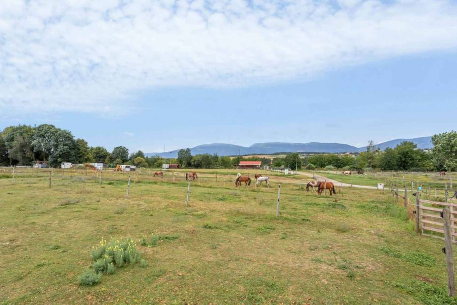 Magnificent equestrian centre with professional infrastructures