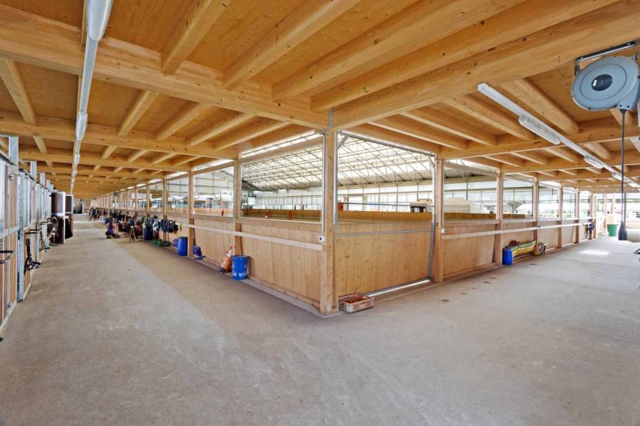 Magnificent equestrian centre with professional infrastructures