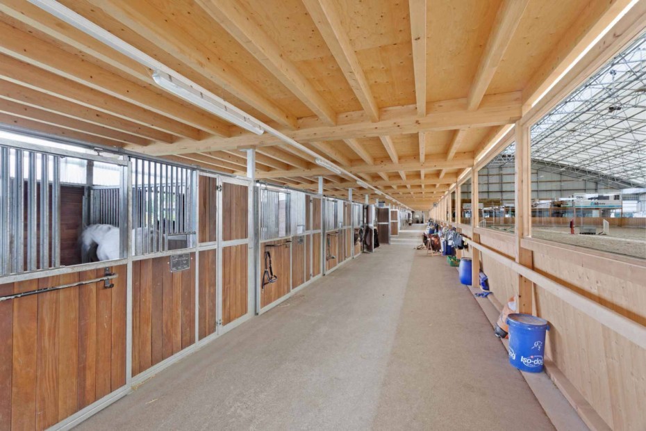 Magnificent equestrian centre with professional infrastructures