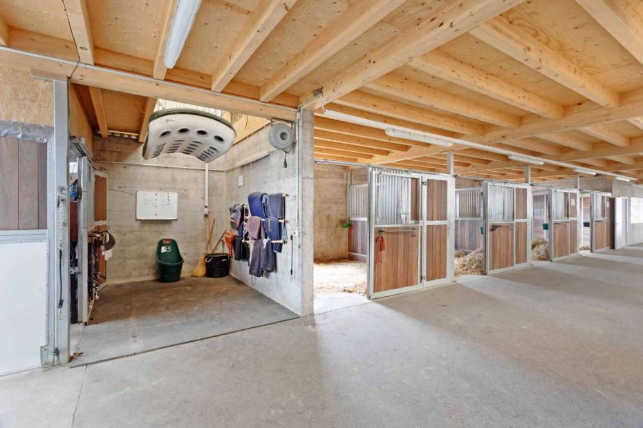 Magnificent equestrian centre with professional infrastructures