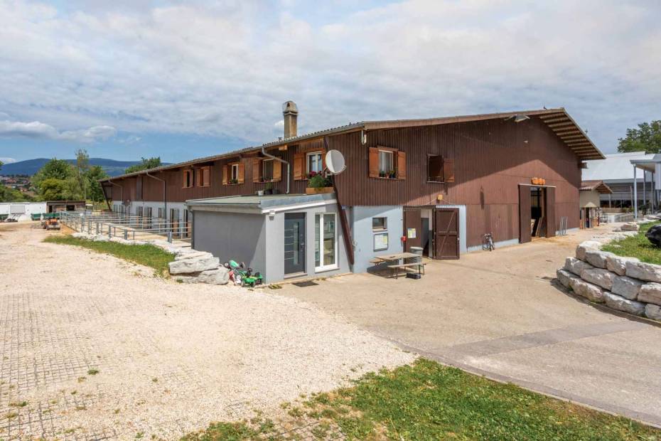 Magnificent equestrian centre with professional infrastructures