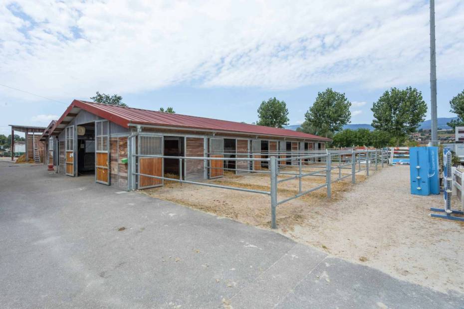 Magnificent equestrian centre with professional infrastructures