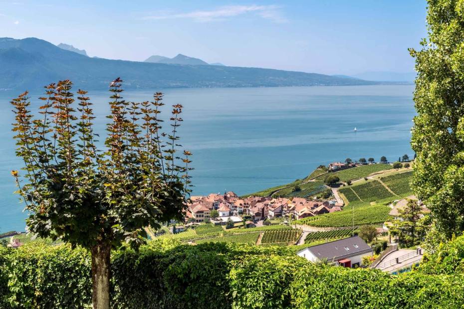 Superbe propriété de maître de 14 pièces avec maison de gardien à vendre à Chexbres