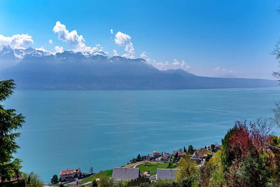 5.5-room detached villa to be built with breathtaking view of the lake for sale in Chexbres