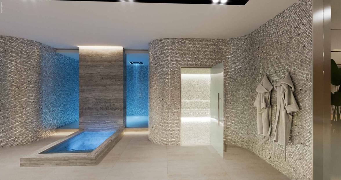 Hôtel Particulier de Prestige – Lot F