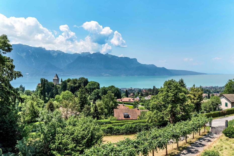 Maison de Maître de charme de 9.5 pièces sur une grande parcelle et magnifique vue sur le lac et le château à vendre à Blonay