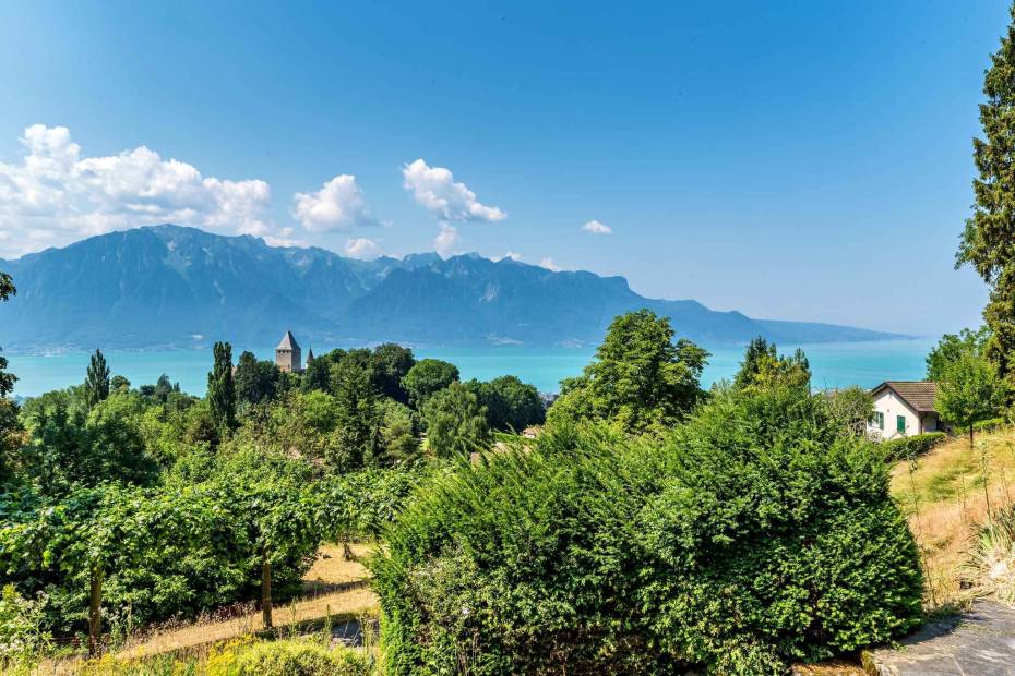 Maison de Maître de charme de 9.5 pièces sur une grande parcelle et magnifique vue sur le lac et le château à vendre à Blonay