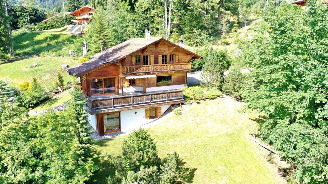 Charming Chalet near Villars Center