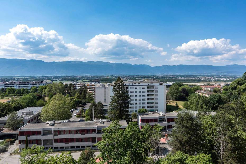 Attique de 221 m² avec vue sur le Salève et le Mont-Blanc