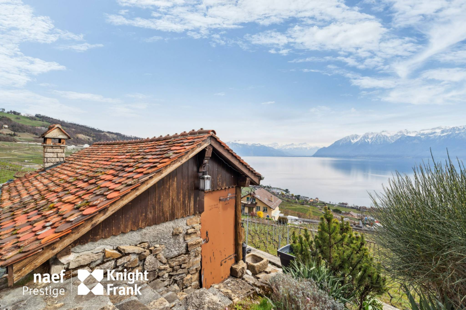 Spacieuse villa d’env. 350 m2 avec vue panoramique sur le lac et les Alpes