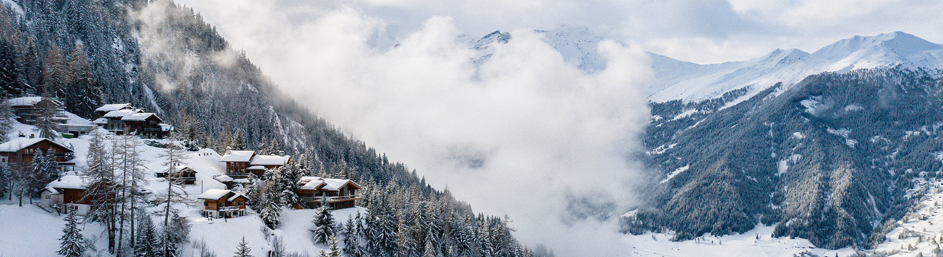 banner-follow.9dab5a411fb42d56d09a